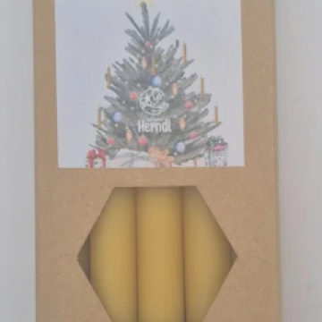 Christbaum Kerzen Set 10 Stück