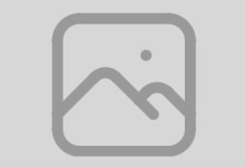 Honig im Tee – Tipp | Imkerei Herndl